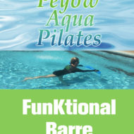 FunKtional Barre Training Course