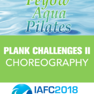 Peyow™ Plank Challenges II Choreography
